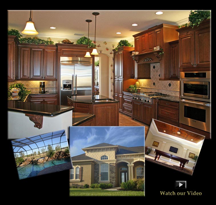New Homes Lithia Pictures